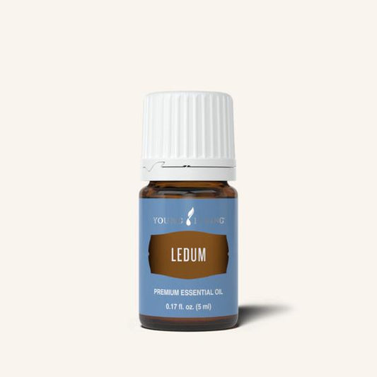 Ledum 5ml