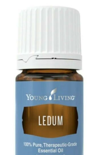 Ledum 1ml